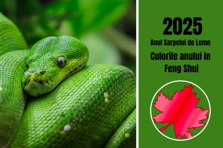 trenduri si sfaturi culori norocoase feng shui anul 2025 sarpe de lemn