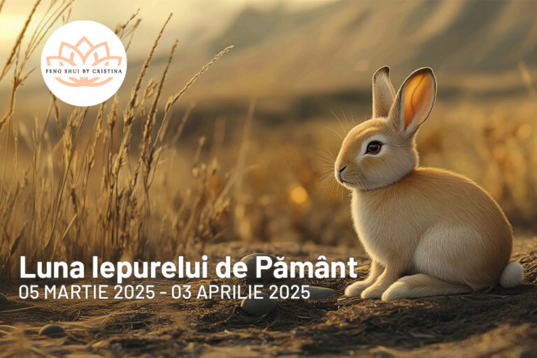 zodiac chinezesc luna martie 2025 iepurele de pamant