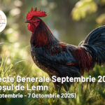 Aspectele generale ale lunii Septembrie 2025 – Cocoșul de lemn