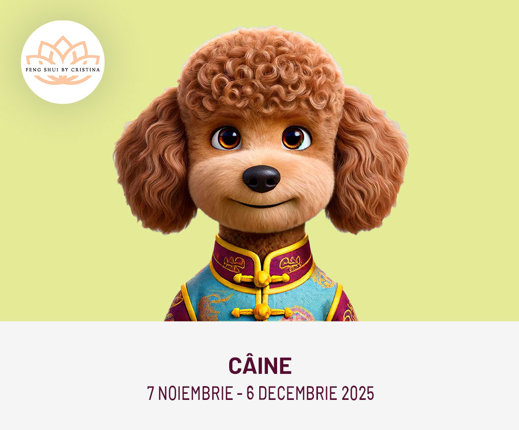 caine horoscop chinezesc noiembrie 2025