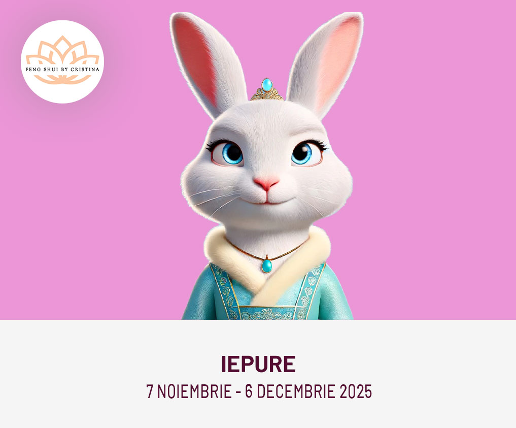 iepure horoscop chinezesc noiembrie 2025