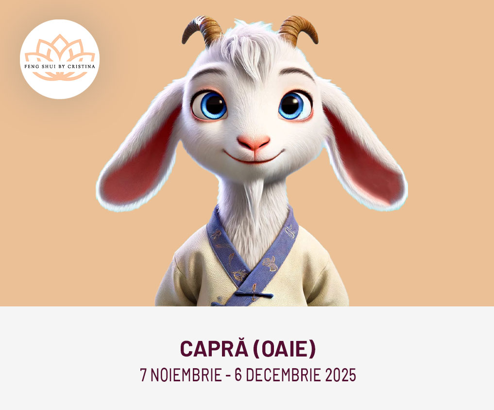oaie/capra horoscop chinezesc noiembrie 2025