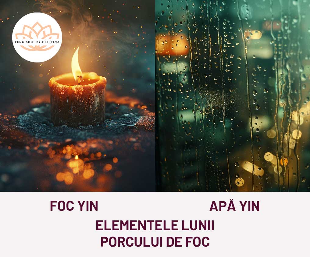 elementele lunii noiembrie 2025, luna porcului de foc conform zodiacului chinezesc