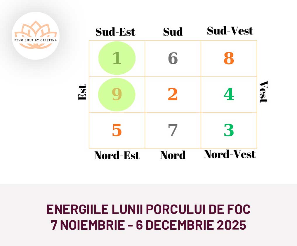 energiile feng shui ale lunii noiembrie 2025 - luna porcului de foc