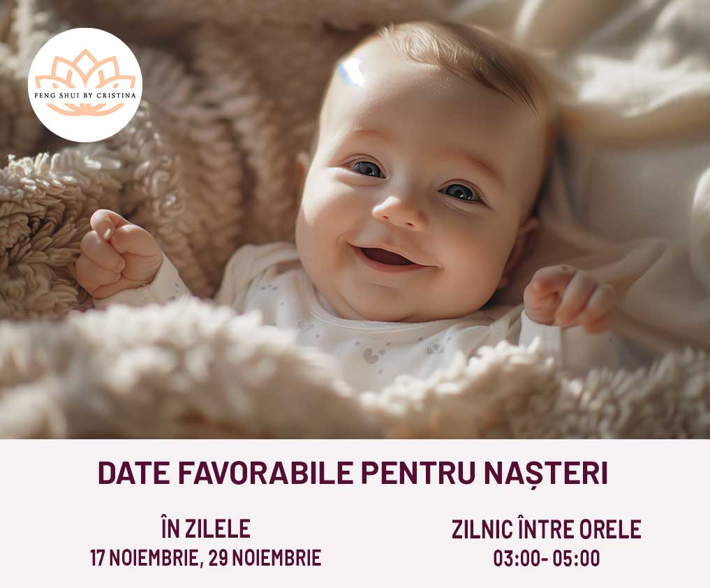 zile si ore favorabile pentru nasteri conform zodiacului chinezesc in luna noiembrie 2025, luna porcului de foc